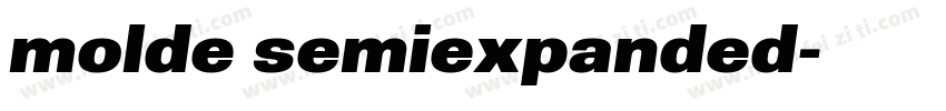 molde semiexpanded字体转换